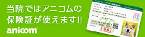 当院ではアニコムの保険証が使えます!！